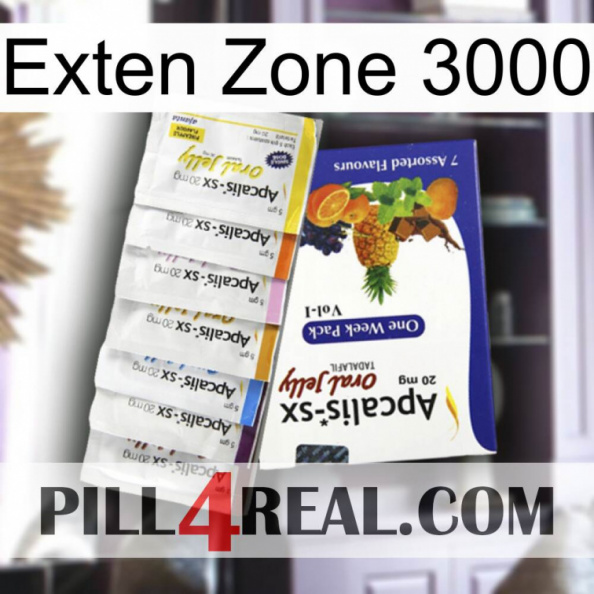 Exten Zone 3000 11.jpg